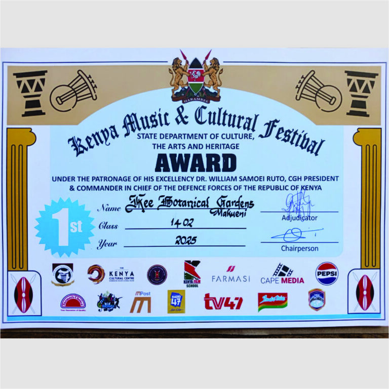 kenya music festival certificate kee botanical gardens