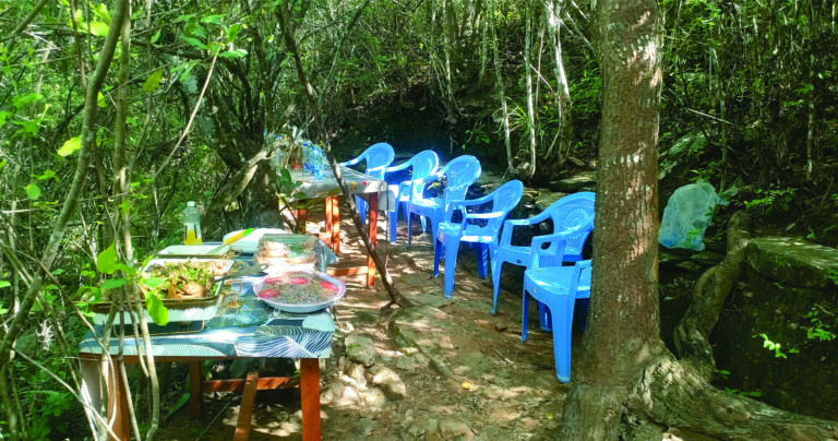 Services kee botanical garden visits lunch break