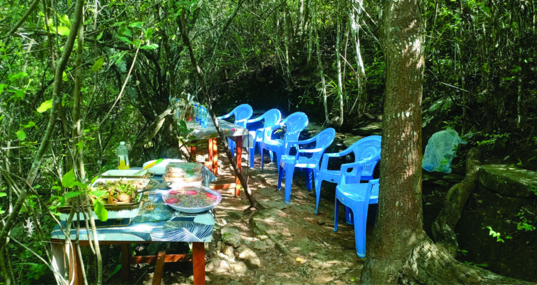 Services kee botanical gardens visits