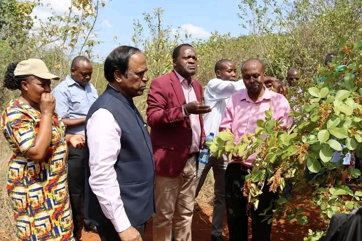 Services kee botanical visits learning